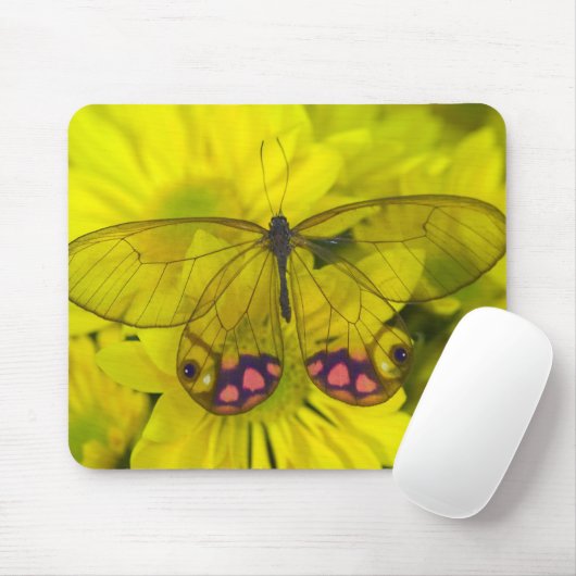 Botervlieg op Gele Bloemen Muismat (Met muis)