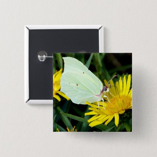 Botervlieg op gele Button (Voorkant /achterkant)