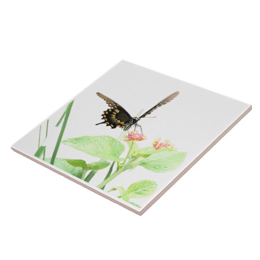 Botervlieg op Lantana, wit Tegeltje (Zijkant)