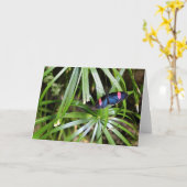 Botervlieg op Leaf Kaart (Gele Bloem)