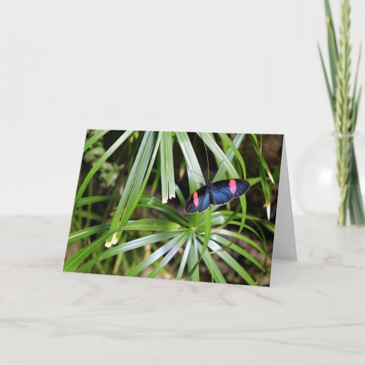 Botervlieg op Leaf Kaart (Voorkant)