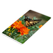 Botervlieg op Oranje en geel bloemenpremium Magneet (Linkerzijde)