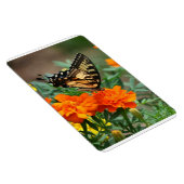 Botervlieg op Oranje en geel bloemenpremium Magneet (Rechterzijde)