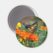 Botervlieg op Oranje en gele bloemen Magnet (Voorkant / Achterkant)