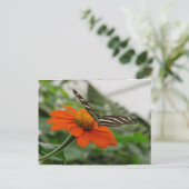 Botervlieg op Oranje ventilator Briefkaart (Staand voorkant)