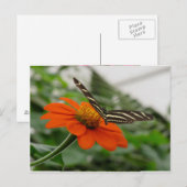 Botervlieg op Oranje ventilator Briefkaart (Voorkant / Achterkant)