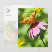 Botervlieg op Paarse cefloer Briefkaart (Voorkant / Achterkant)