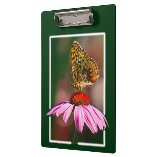 Botervlieg op Paarse cefloer Klembord (Links)