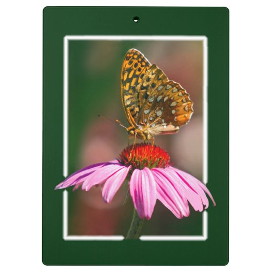 Botervlieg op Paarse cefloer Klembord (Achterkant)