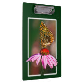 Botervlieg op Paarse cefloer Klembord (Rechts)