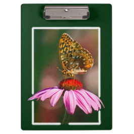 Botervlieg op Paarse cefloer Klembord