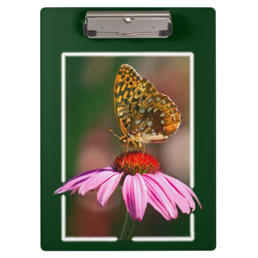 Botervlieg op Paarse cefloer Klembord (Voorkant)