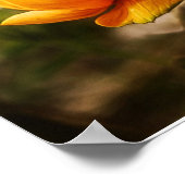 Botervlieg op Poster van Oranje bloemen (Hoek)