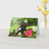 "Botervlieg op Red Pentas." Wenskaart Kaart (Gele Bloem)