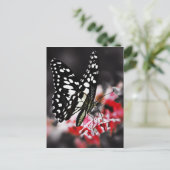 Botervlieg op rode ventilator briefkaart (Staand voorkant)