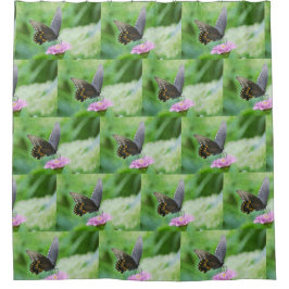 Botervlieg op ventilator douchegordijn