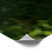 Botervlieg op Vloer w Verse van Isaiah 40:31 Poster (Hoek)