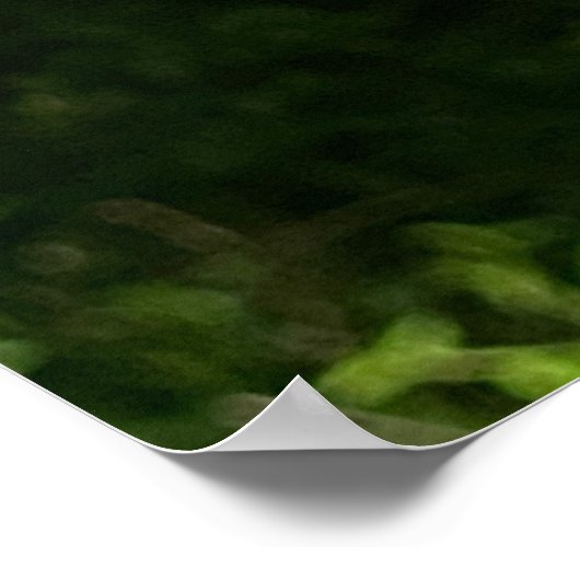 Botervlieg op Vloer w Verse van Isaiah 40:31 Poster (Hoek)