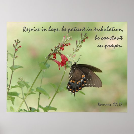 Botervlieg op wilde bloemen, Verse Romans 12:12 Poster (Voorkant)