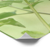 Botervlieg op wilde bloemen, Verse Romans 12:12 Poster (Hoek)