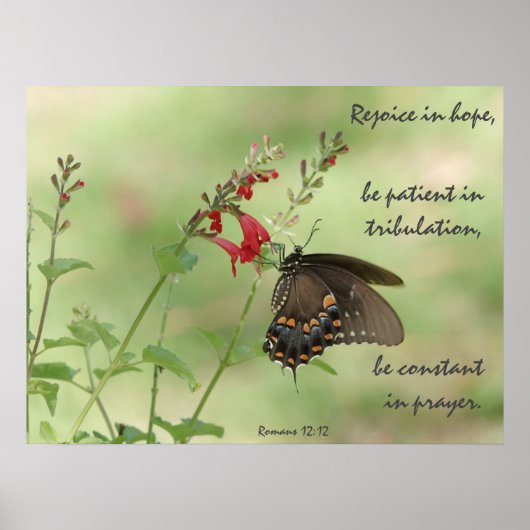 Botervlieg op wilde bloemen, Verse Romans 12:12 Poster (Voorkant)