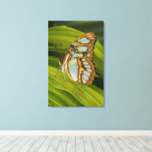 Botervlieg rust op bladeren canvas afdruk (Insitu (Houten vloer))