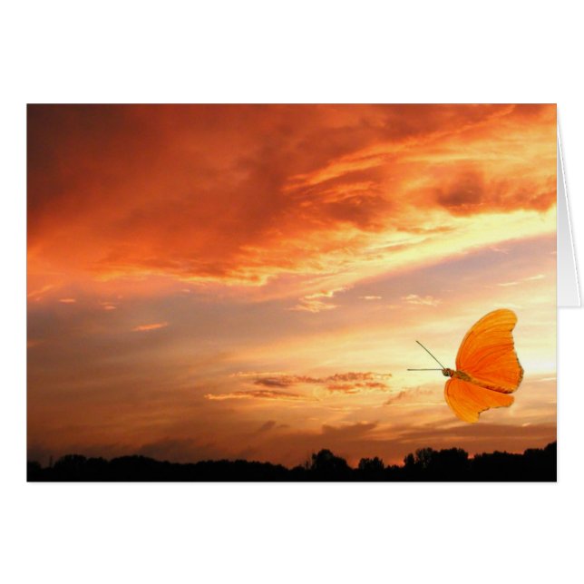 Botervlieg tegen zonsondergang (Voorkant Horizontaal)