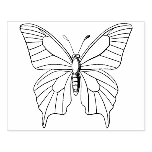 Botervlieg voor het kleuren van kunststempel rubberstempel (Afrduk)