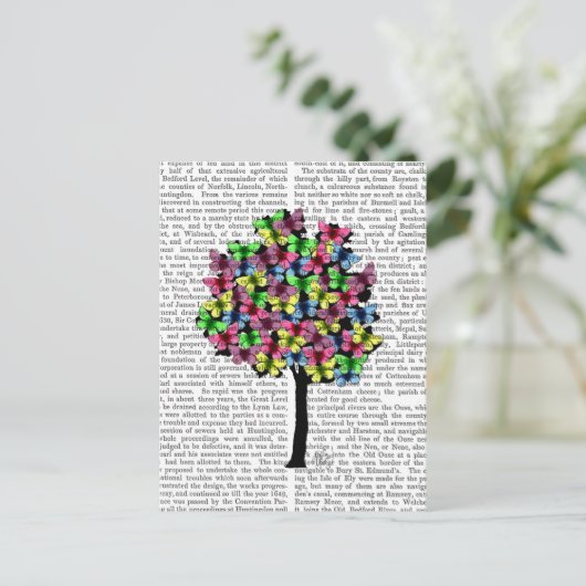 Botervliegboom Briefkaart (Staand voorkant)