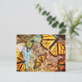 Botervliegcollage Briefkaart (Staand voorkant)