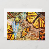 Botervliegcollage Briefkaart (Voorkant / Achterkant)