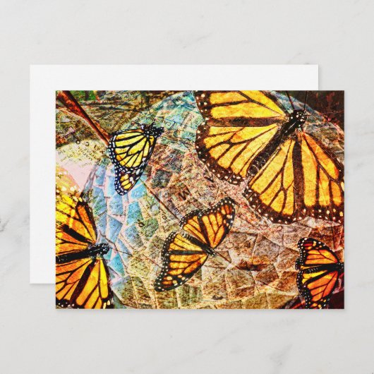 Botervliegcollage Briefkaart (Voorkant / Achterkant)