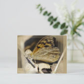 Botervliegdromen Briefkaart (Staand voorkant)