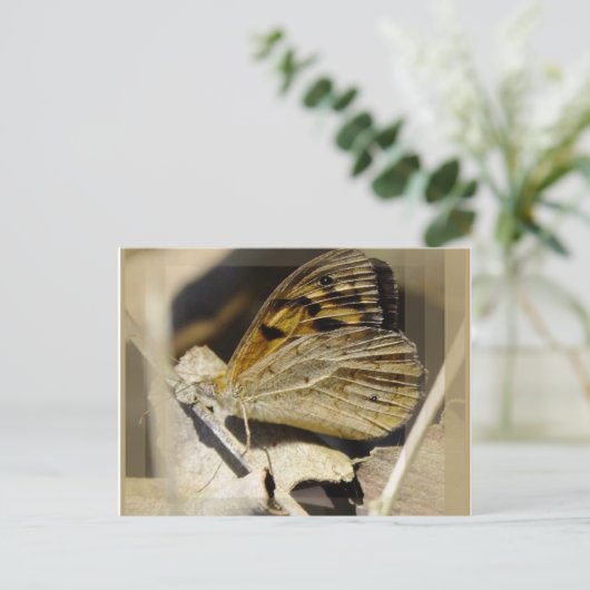 Botervliegdromen Briefkaart (Staand voorkant)