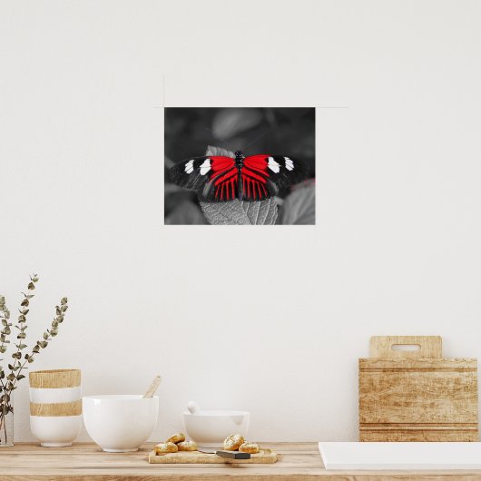 Botervliegdruk Poster (Keuken)