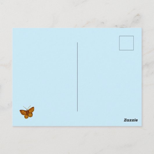 Botervliegen en bloemen briefkaart (Achterkant)