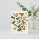 Botervliegen en bloemen Illustratie 1 Briefkaart (Staand voorkant)