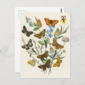 Botervliegen en bloemen Illustratie 1 Briefkaart (Voorkant / Achterkant)