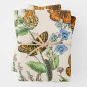 Botervliegen en bloemen  Illustratie 1 Inpakpapier Vel (In situ)