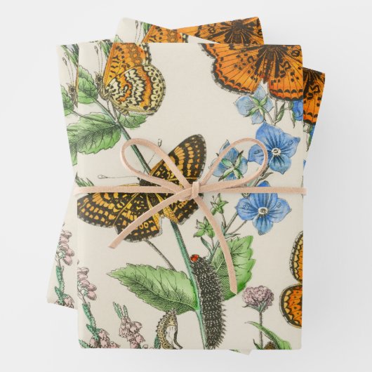 Botervliegen en bloemen  Illustratie 1 Inpakpapier Vel (In situ)