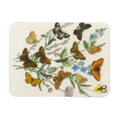 Botervliegen en bloemen  Illustratie 1 Magneet (Horizontaal)