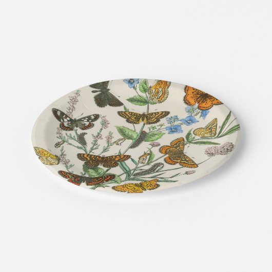 Botervliegen en bloemen Illustratie 1 Papieren Bordje (Gekanteld)