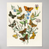 Botervliegen en bloemen  Illustratie 1 Poster (Voorkant)