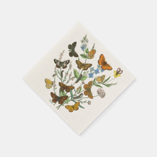 Botervliegen en bloemen  Illustratie 1 Servet (Hoek)