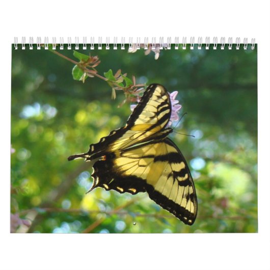 Botervliegen en bloemen kalender (Hoes)