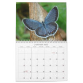 Botervliegen en bloemen kalender (Jan 2027)