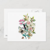 Botervliegen van de zomer briefkaart (Voorkant / Achterkant)