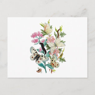 Botervliegen van de zomer briefkaart