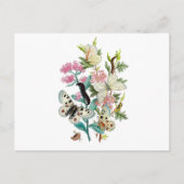Botervliegen van de zomer briefkaart (Voorkant)