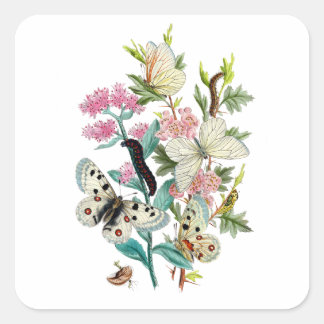 Botervliegen van de zomer vierkante sticker